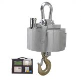 High Temperature Proof Crane Scale